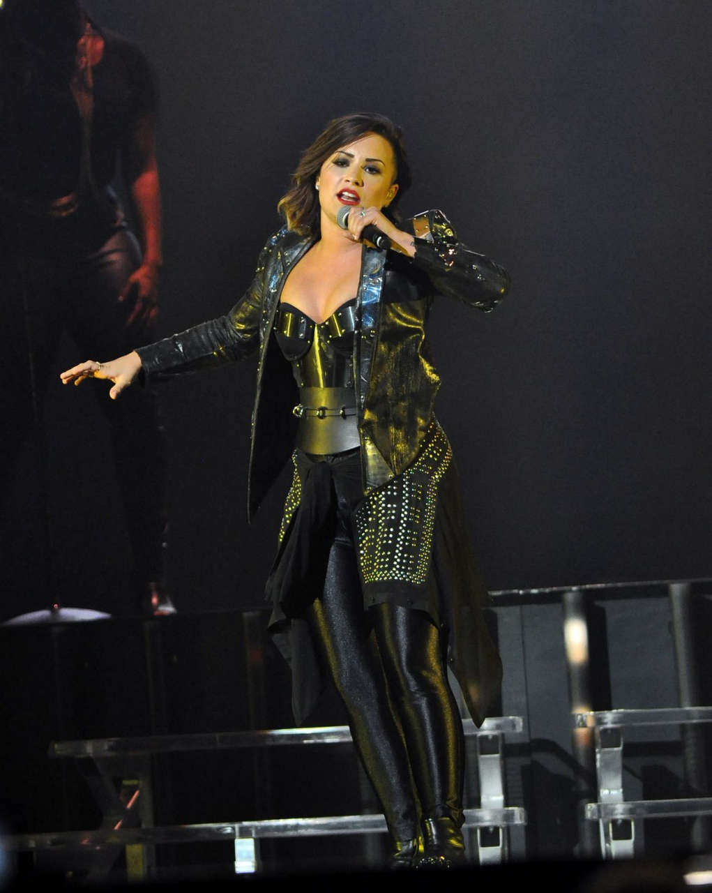 Demi Lovato Performs Raleigh