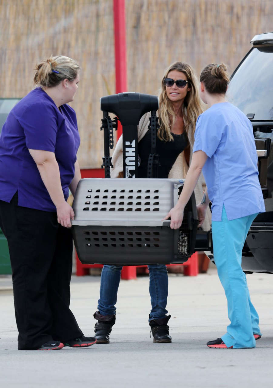 Denise Richards Picking Up Her Dog From Vets Los Angeles