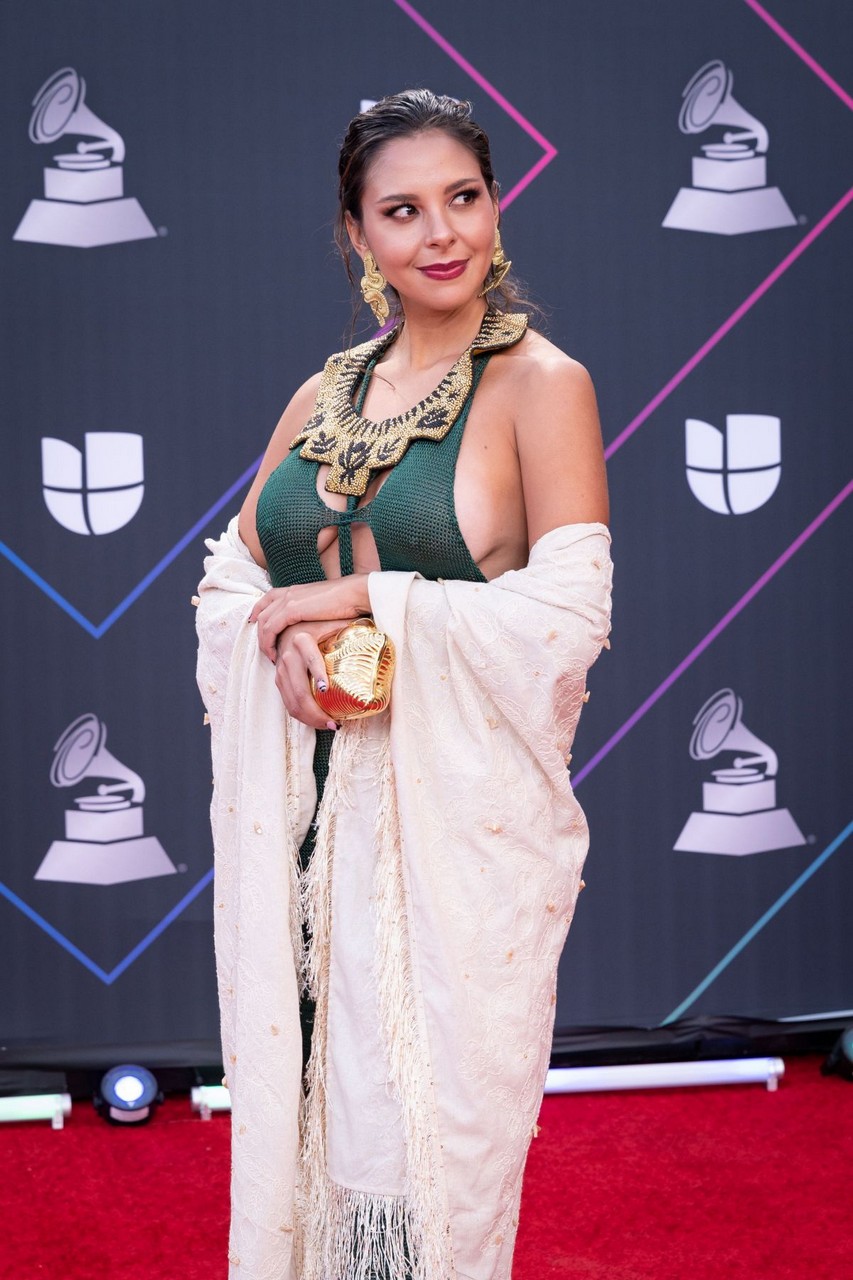 Diana Burco 22nd Annual Latin Grammy Awards Las Vegas