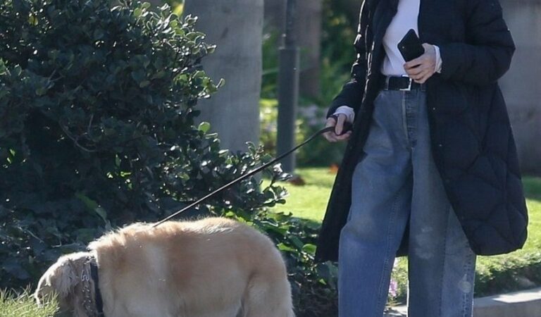 Diane Keaton Out With Her Dog Brentwood (6 photos)