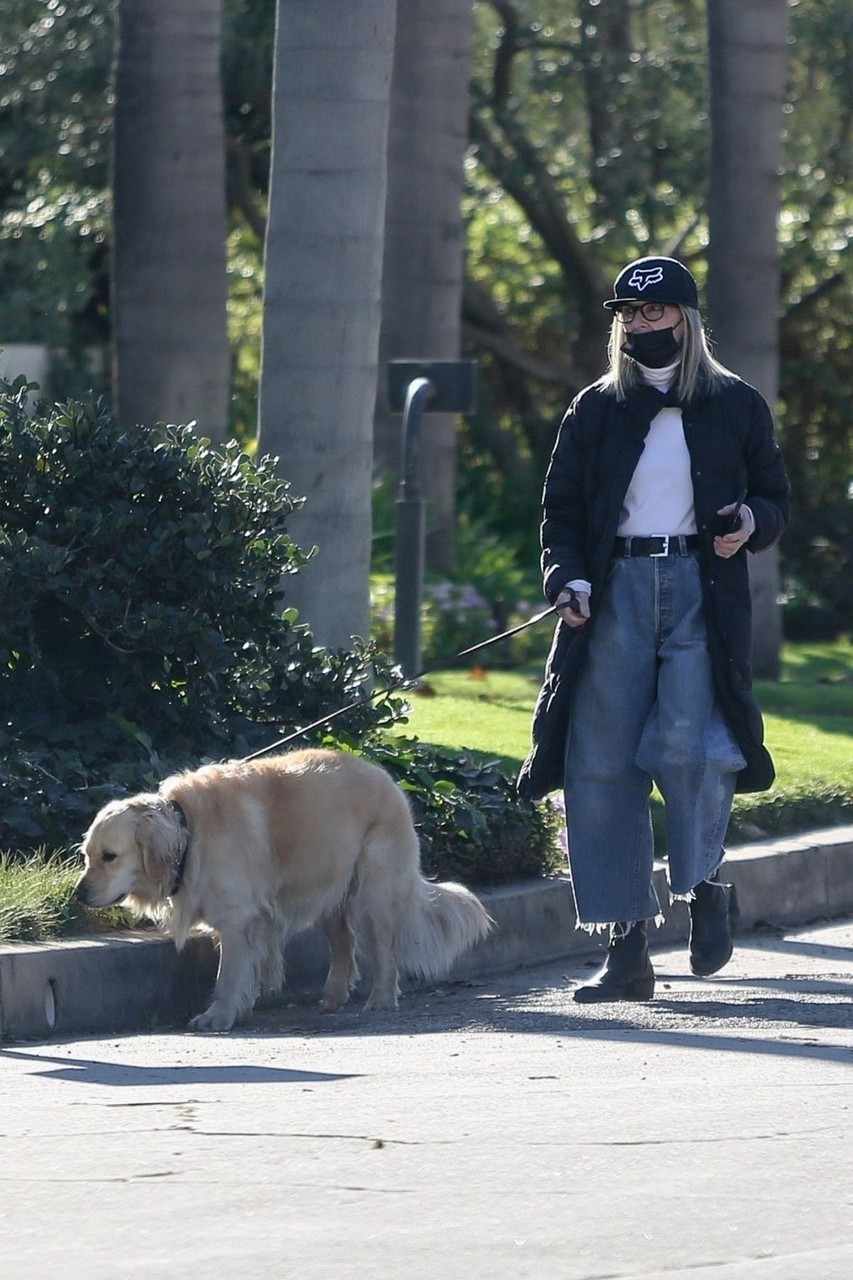 Diane Keaton Out With Her Dog Brentwood
