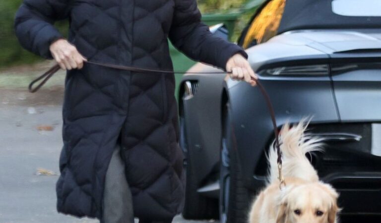 Diane Keaton Out With Her Dog Brentwood (7 photos)