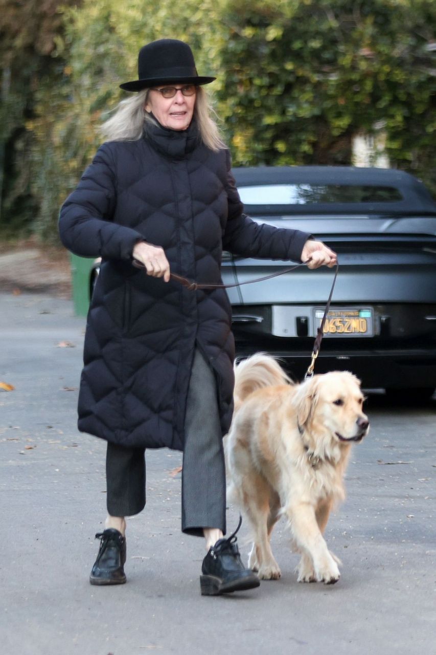 Diane Keaton Out With Her Dog Brentwood