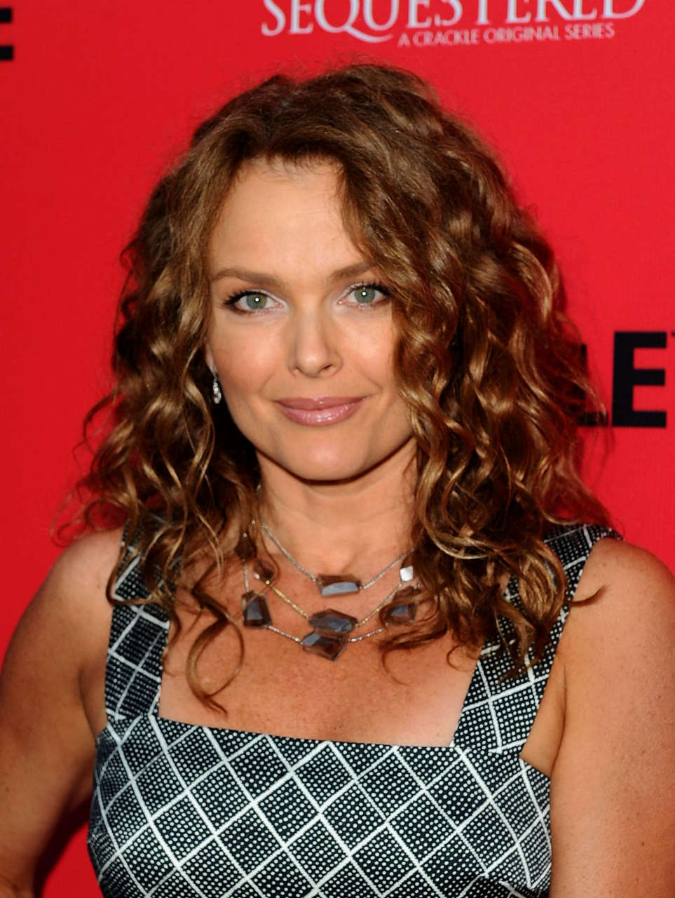Dina Meyer Sequestered Cleaners Premieres West Hollywood