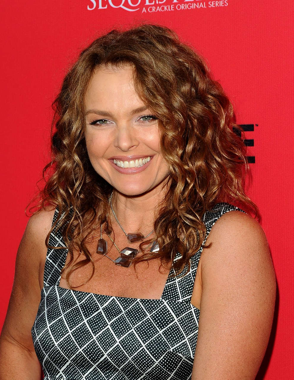 Dina Meyer Sequestered Cleaners Premieres West Hollywood