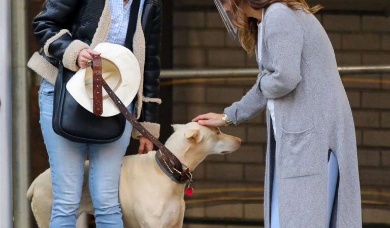 Drew Barrymore Comes To Rescue Of New Yorker Whose Dog Was Allegedly Victim Of Car Hit Run (13 photos)
