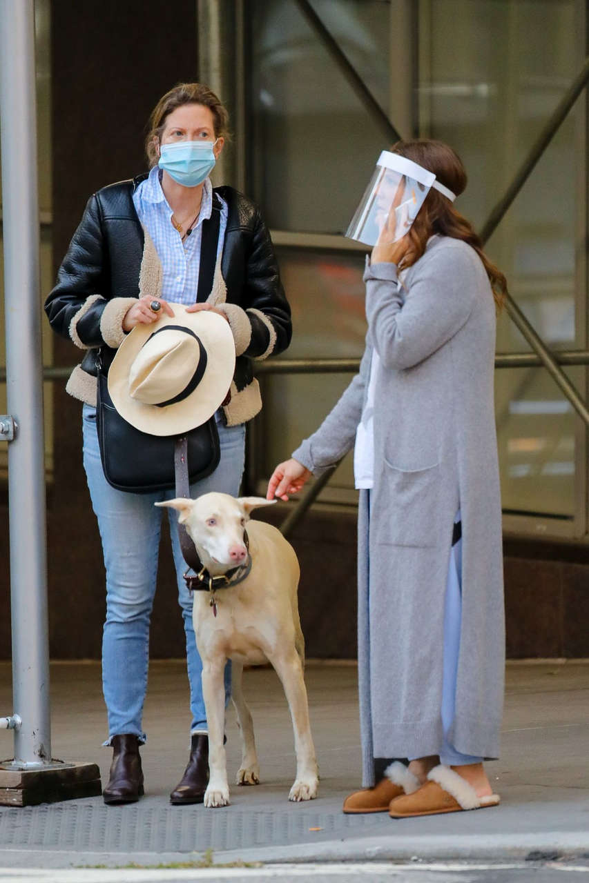 Drew Barrymore Comes To Rescue Of New Yorker Whose Dog Was Allegedly Victim Of Car Hit Run