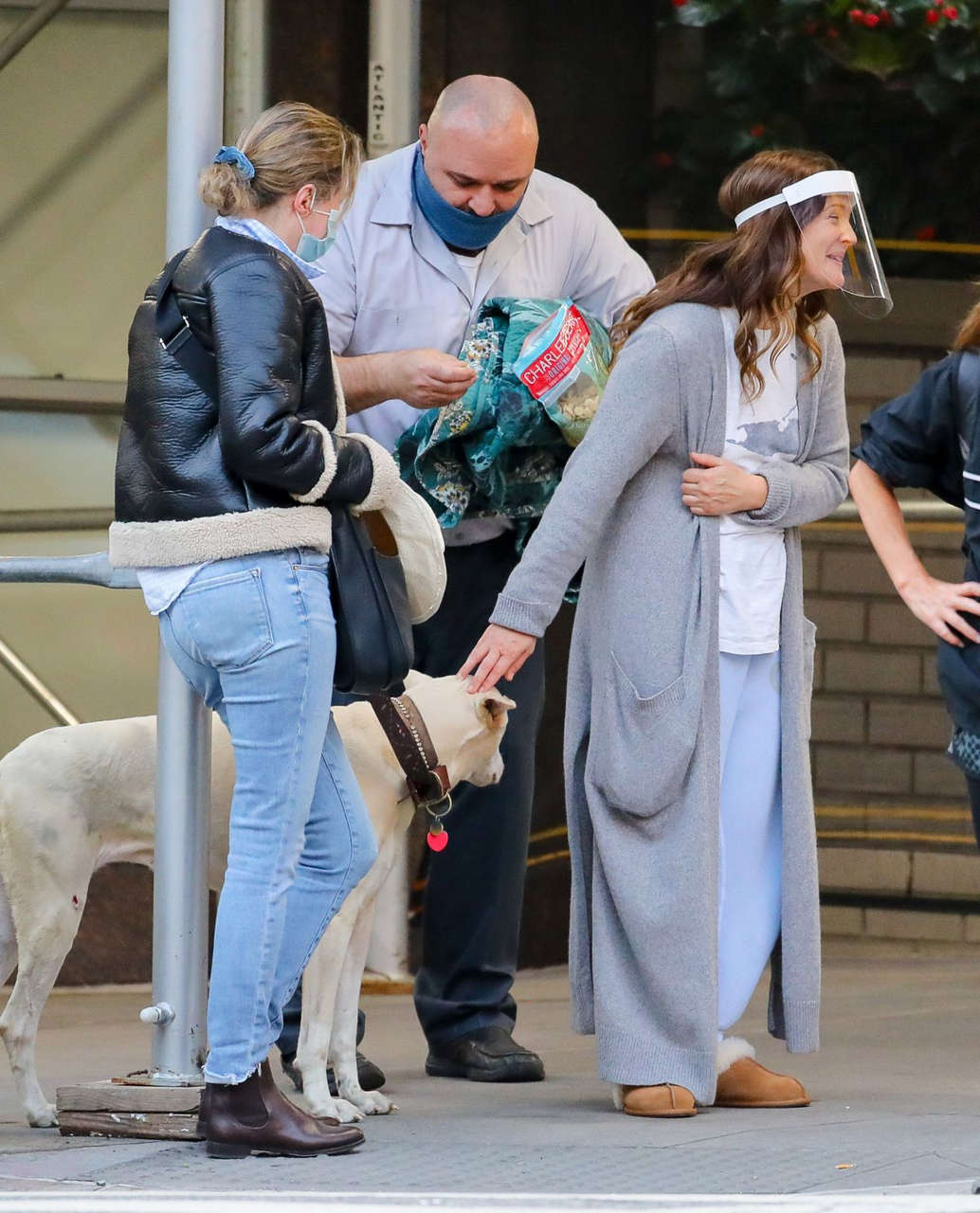 Drew Barrymore Comes To Rescue Of New Yorker Whose Dog Was Allegedly Victim Of Car Hit Run