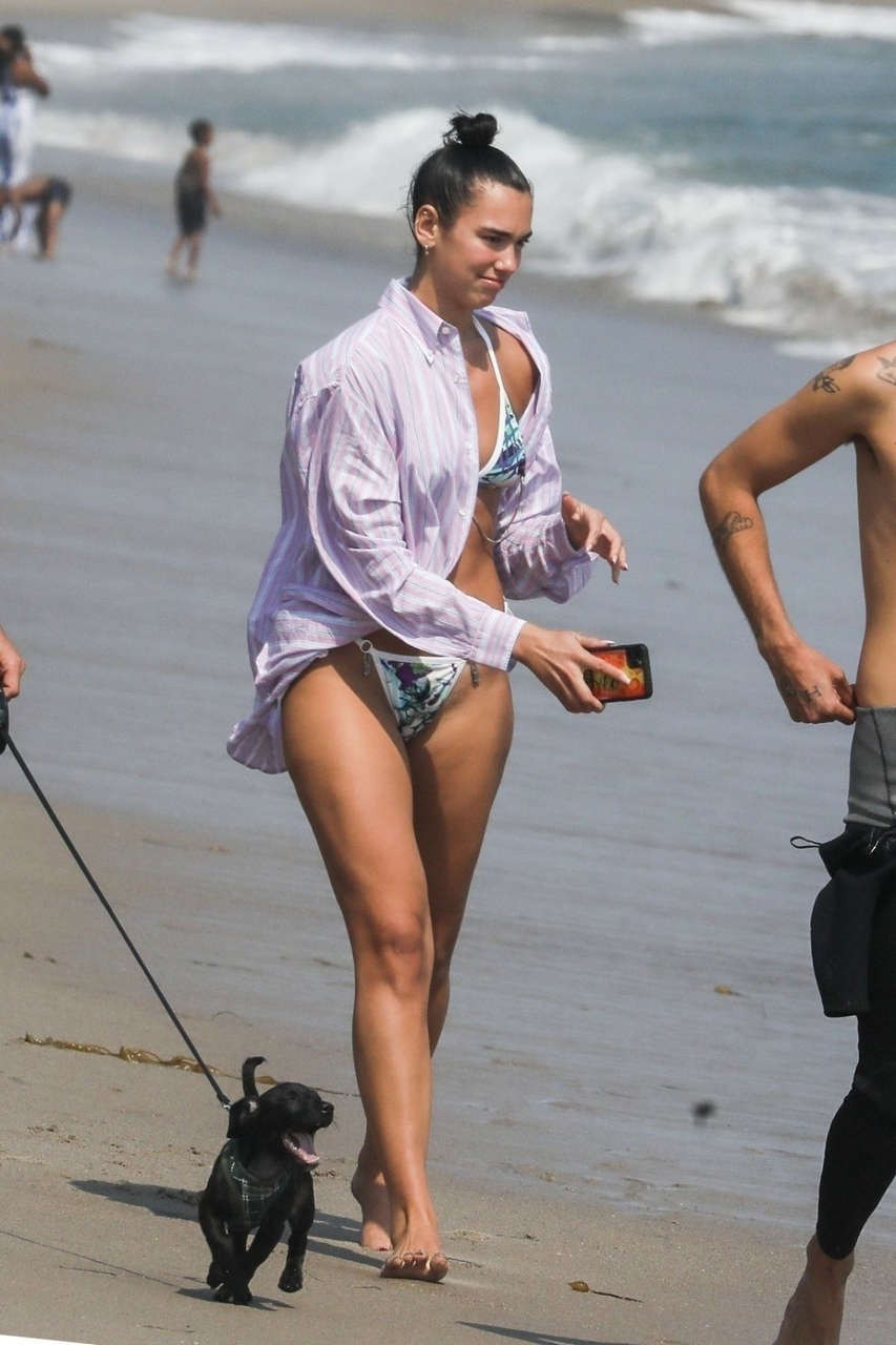 Dua Lipa Bikini Anwar Hadid Out With Their Dog Beach Malibu