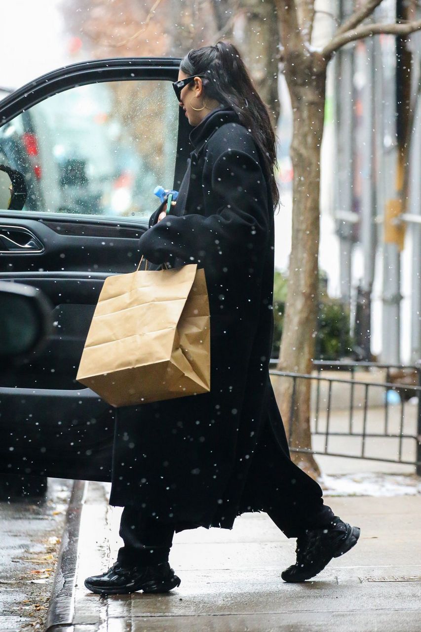 Dua Lipa Out On Snowing Day New York