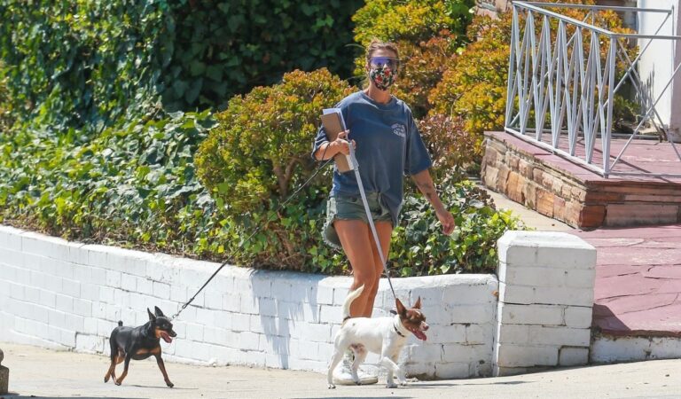 Elisabetta Canalis Denim Shorts Out With Her Dogs Beverly Hills (10 photos)