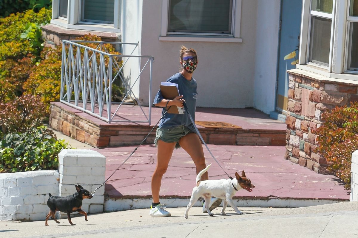 Elisabetta Canalis Denim Shorts Out With Her Dogs Beverly Hills