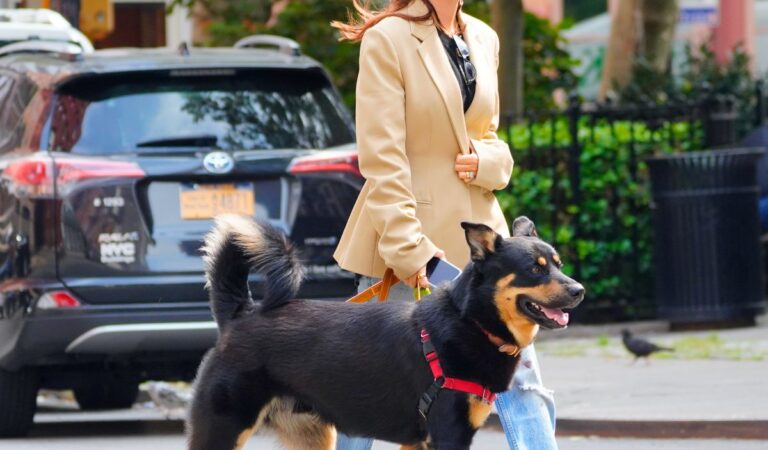 Emily Ratajkowski Out With Her Dog New York (10 photos)