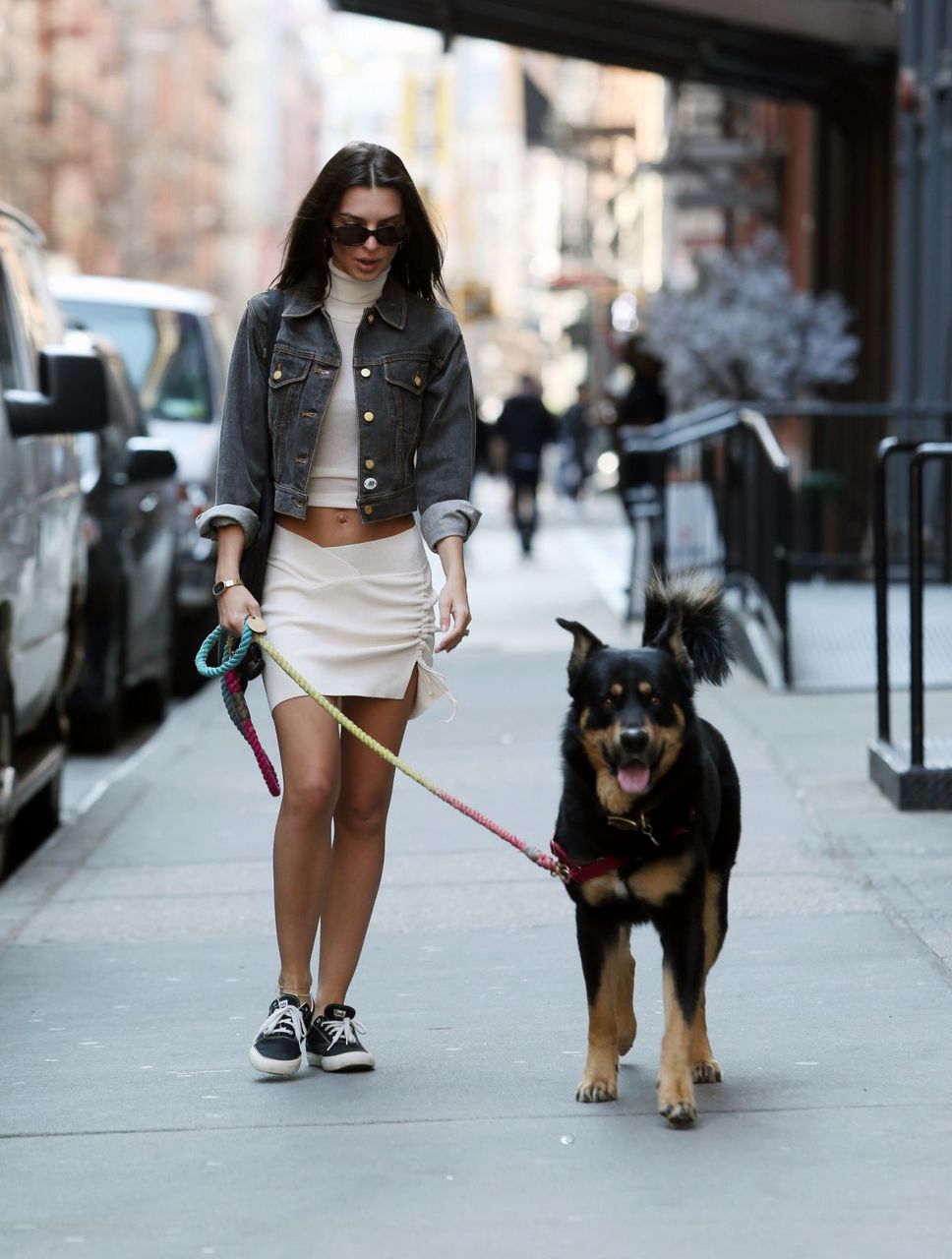 Emily Ratajkowski Out With Her Dog New York