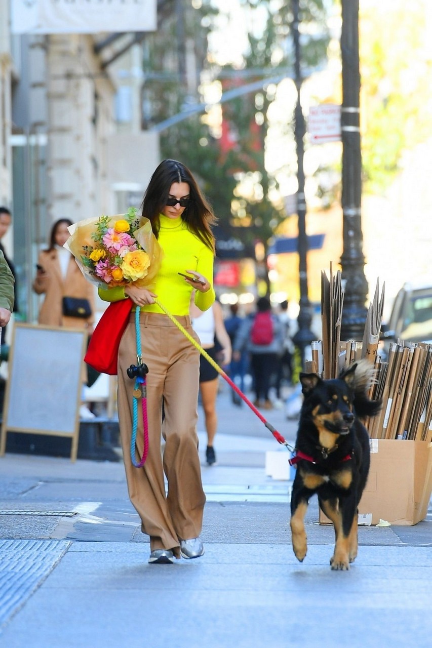 Emily Ratajkowski Out With Her Dog Shopping For Fresh Flowers New York