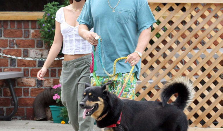Emily Ratajkowski Sebastian Bear Mcclard Out With Their Dog New York (13 photos)