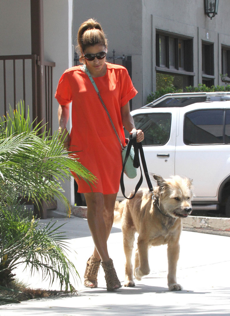 Eva Mendes Walking Her Dog Out Los Angeles