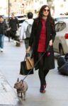 Famke Janssen Out With Her Friend S Dog New York