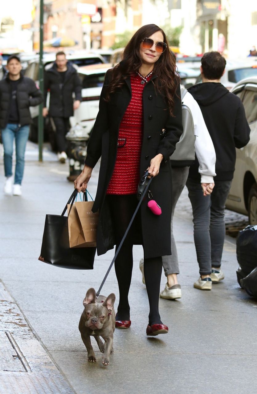 Famke Janssen Out With Her Friend S Dog New York