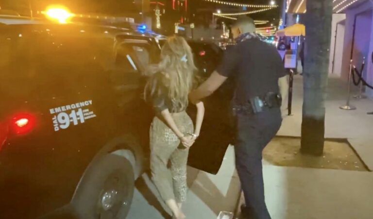 Farrah Abraham Arrested After Allegedly Slapping Security Guard Hollywood (9 photos)