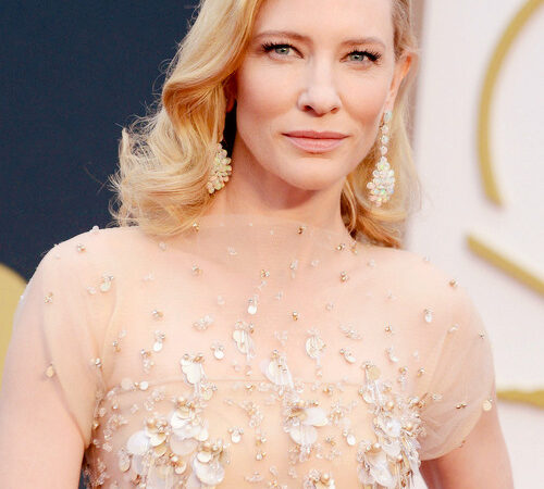 Fassyy Cate Blanchett 86th Annual Academy (1 photo)