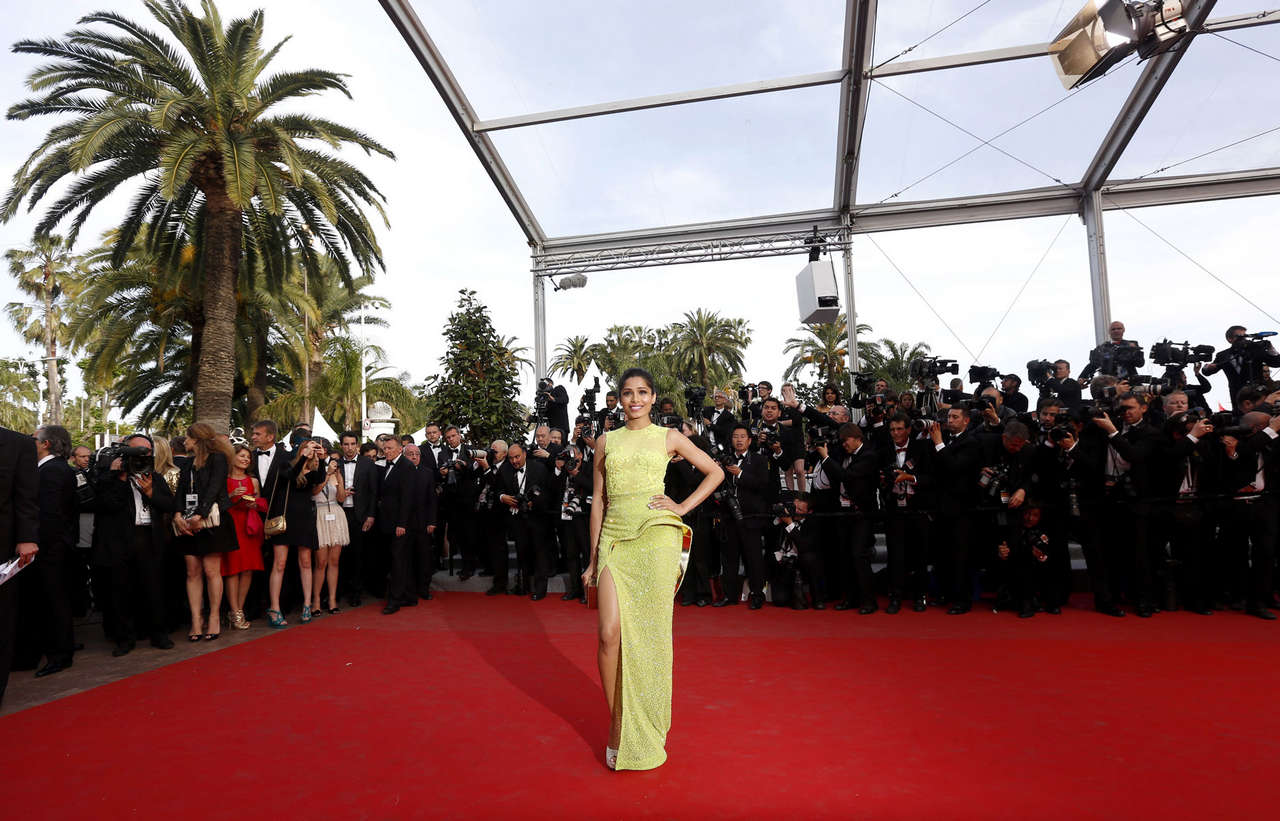 Freida Pinto De Rouille Et Dos Premiere Cannes Film Festival