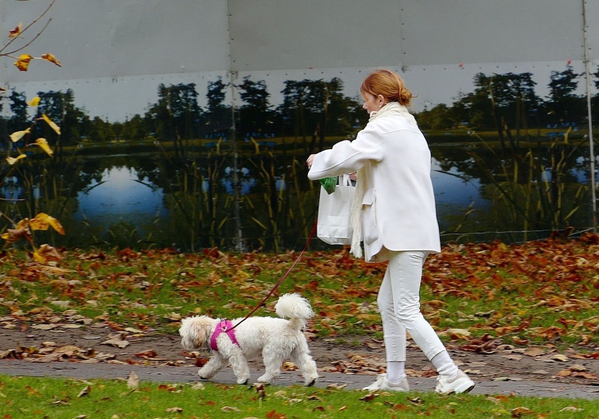 Geri Halliwell Out With Her Dog London
