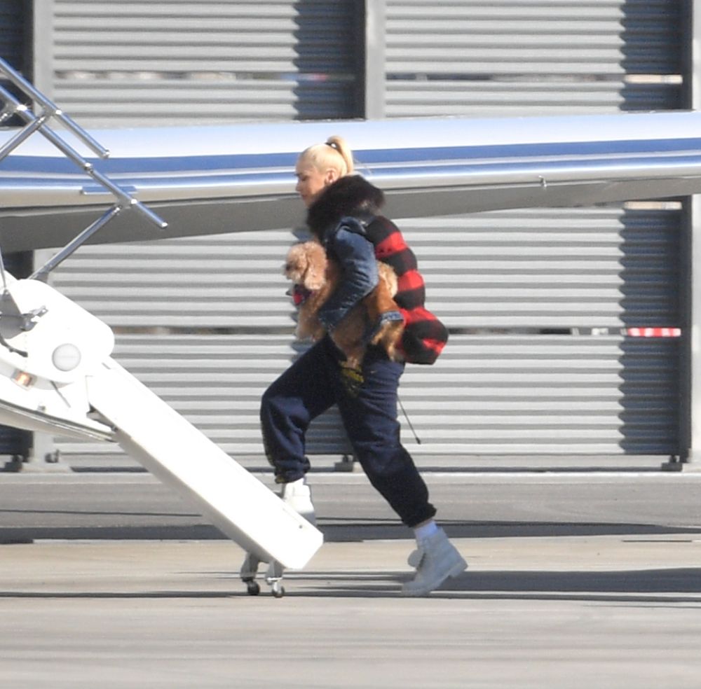 Gwen Stefani Boards Private Jet Los Angeles