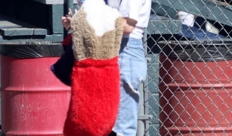 Gwen Stefani Her Son S Baseball Game Los Angeles (10 photos)