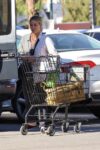 Hilary Duff Out Shopping Ralphs Studio City