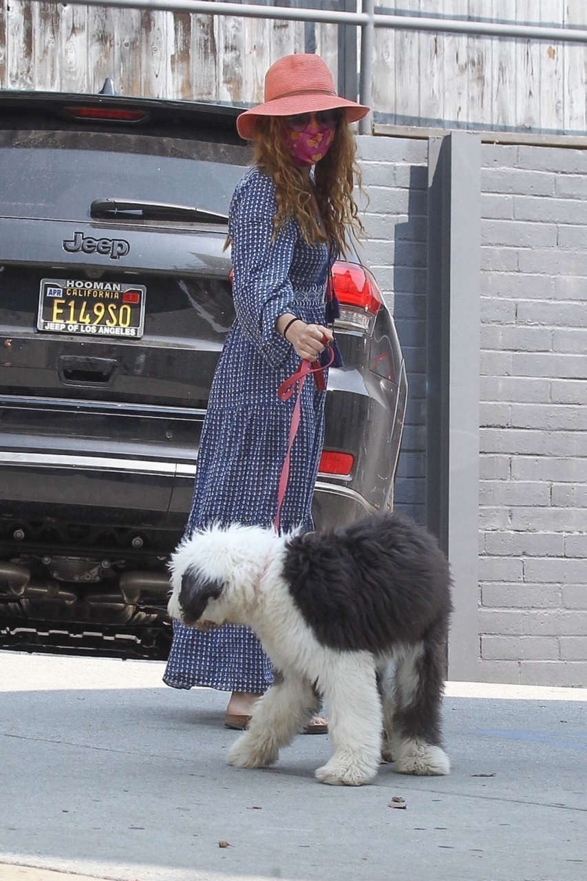 Isla Fisher Out With Her Dog West Hollywood