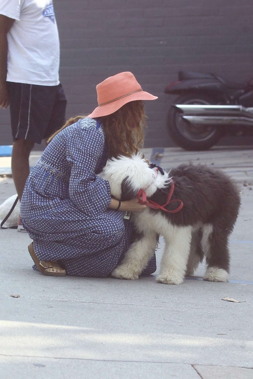 Isla Fisher Out With Her Dog West Hollywood