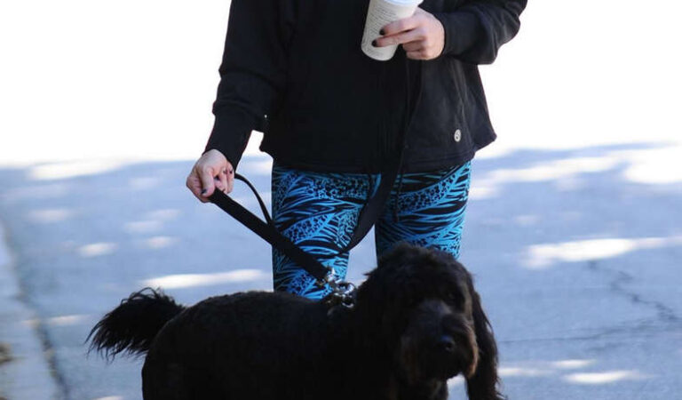 Jenni Garth Walks Her Dog Out Los Angeles (16 photos)
