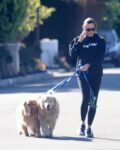 Jennifer Garner Out Wuth Her Dogs Santa Monica