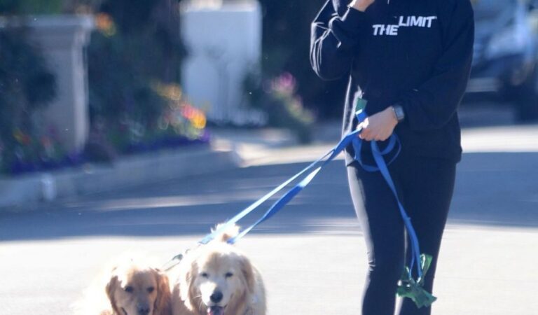 Jennifer Garner Out Wuth Her Dogs Santa Monica (5 photos)