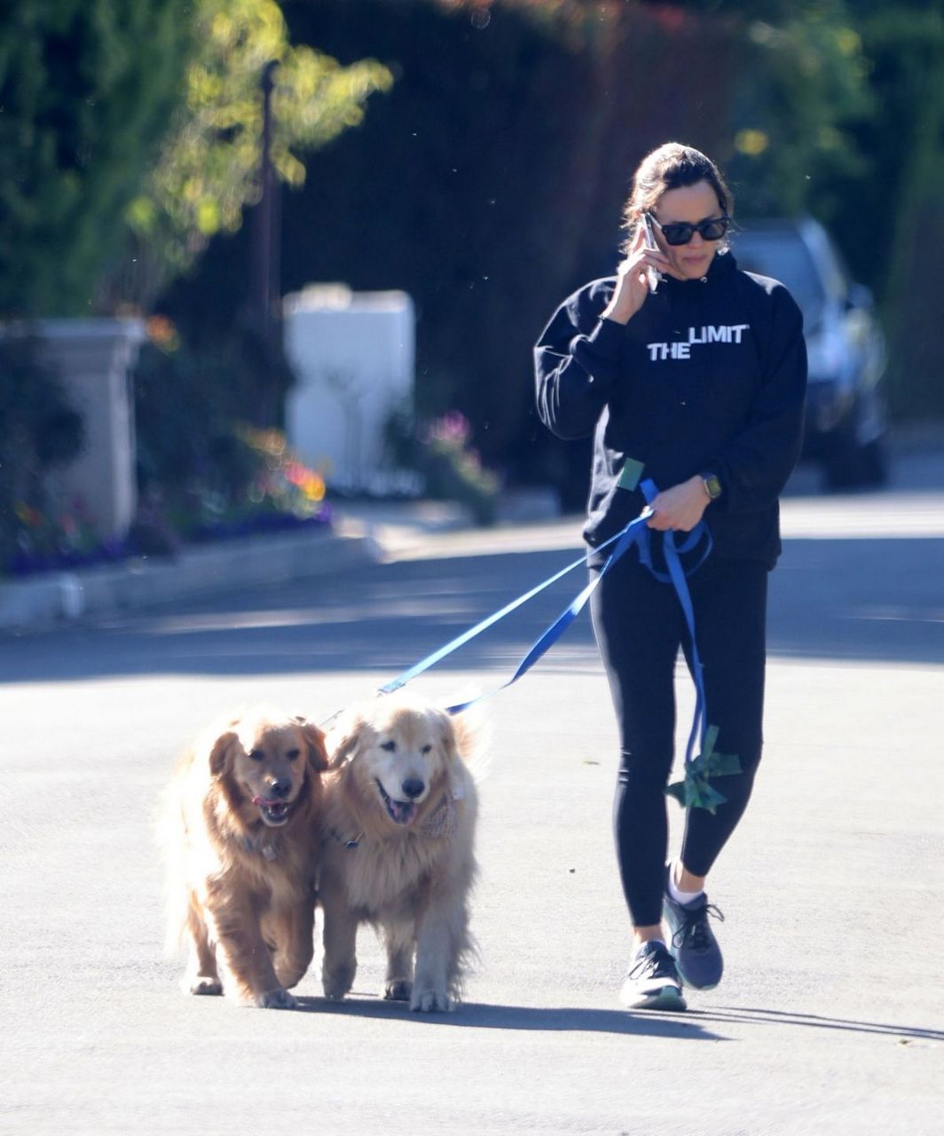 Jennifer Garner Out Wuth Her Dogs Santa Monica