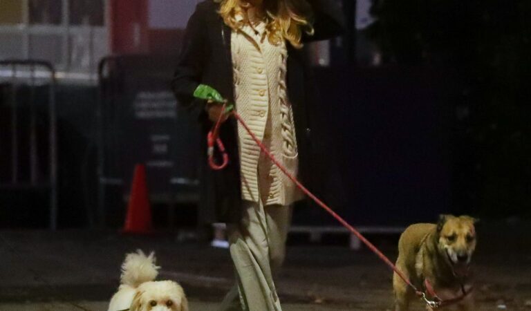Jennifer Westfeldt Out With Her Dogs Central Park New York (7 photos)