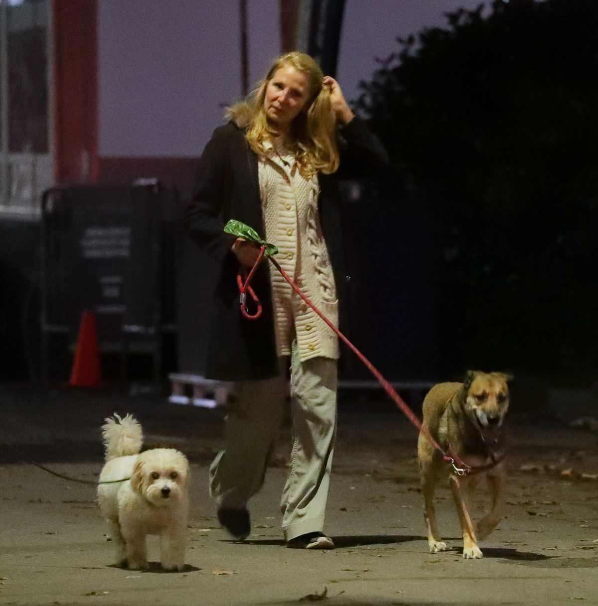 Jennifer Westfeldt Out With Her Dogs Central Park New York