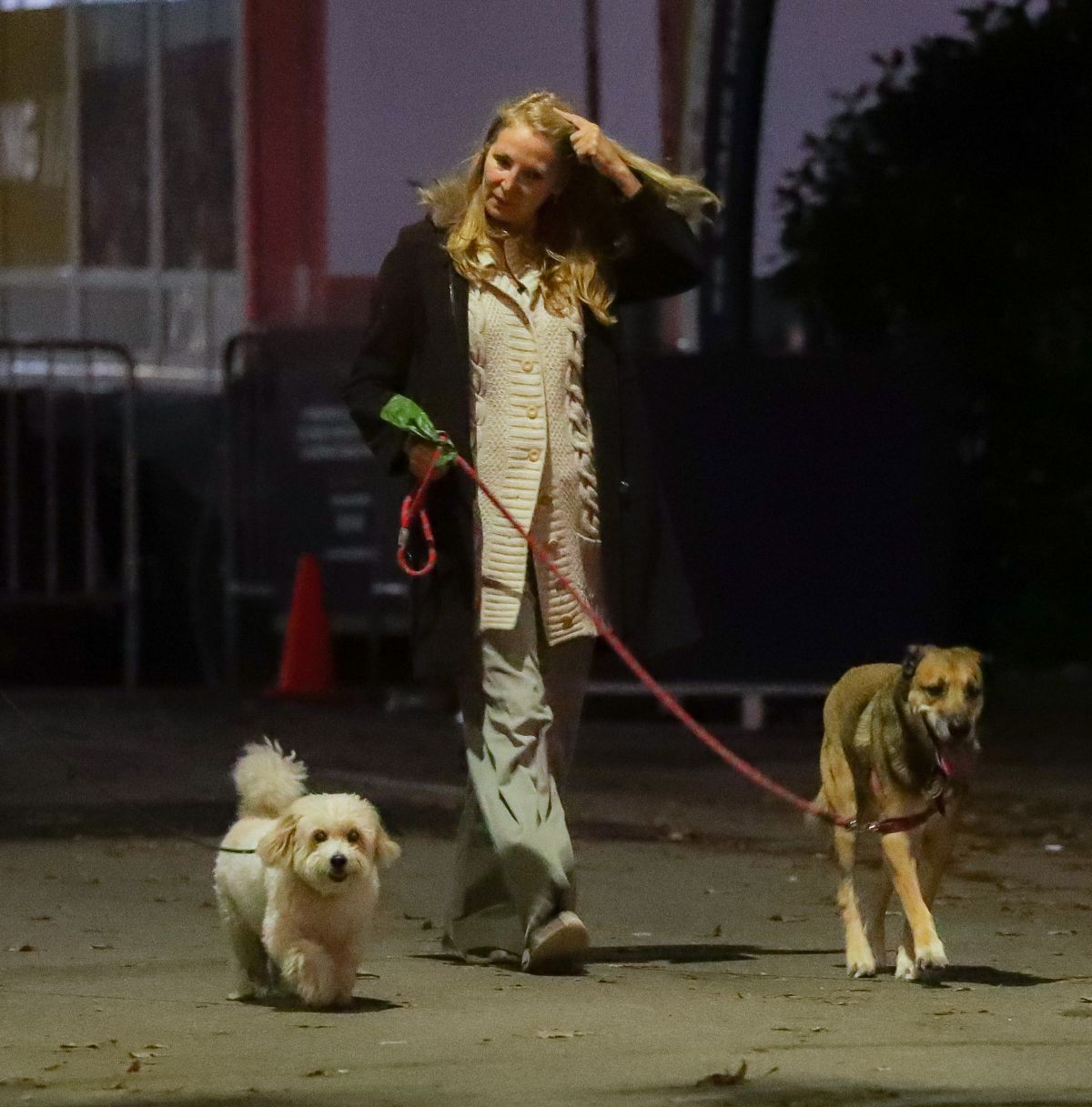 Jennifer Westfeldt Out With Her Dogs Central Park New York