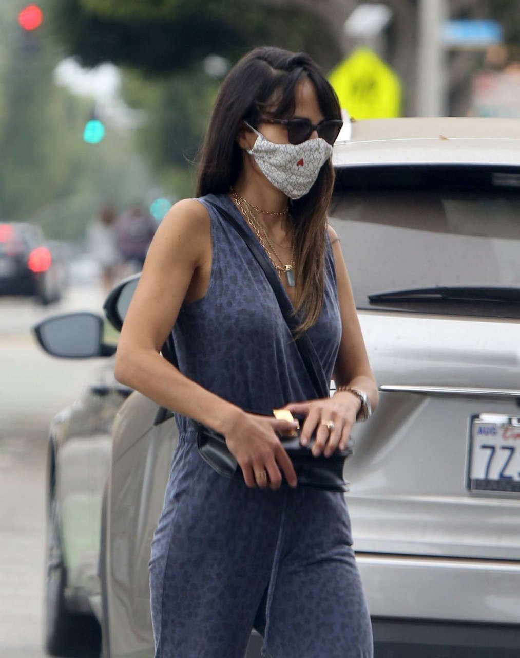 Jordana Brewster Out About Los Angeles