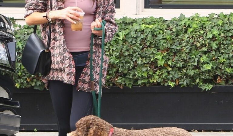 Jordana Brewtser Out With Her Dog Brentwood (10 photos)