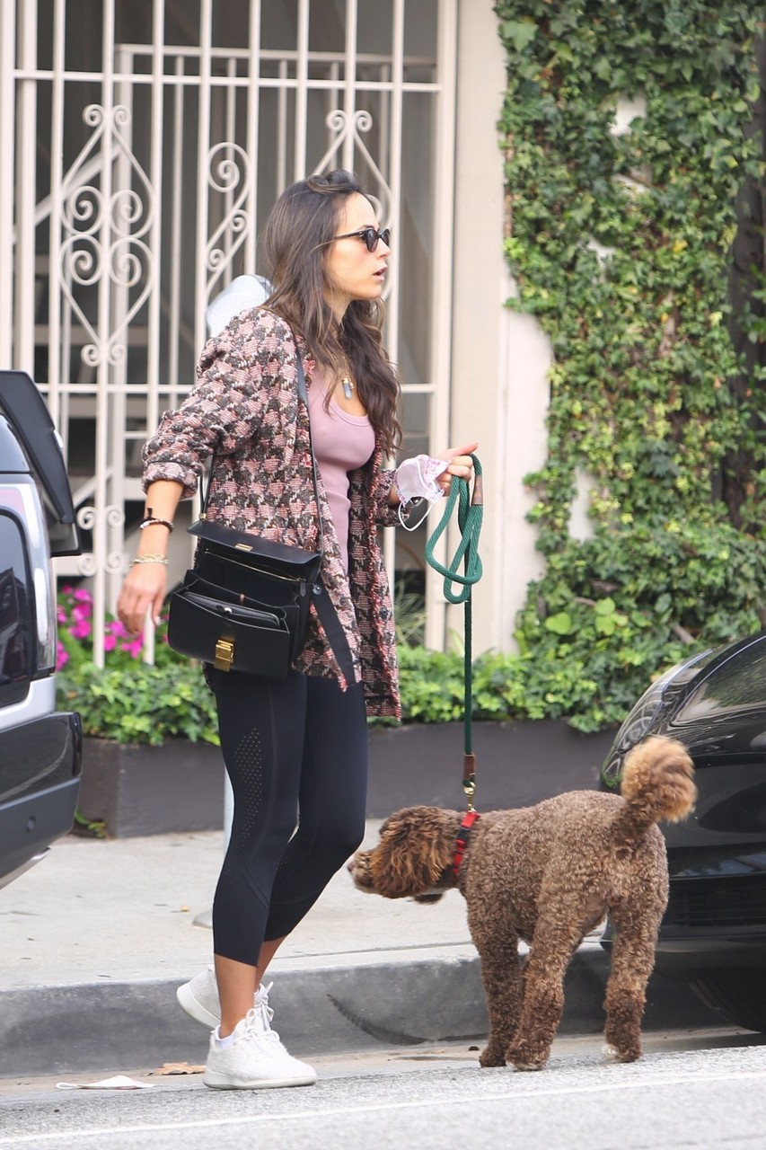Jordana Brewtser Out With Her Dog Brentwood