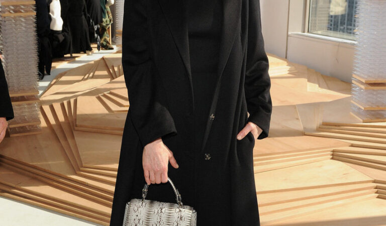 Julianne Moore In Boss At The Boss Fall 2015 Show (1 photo)