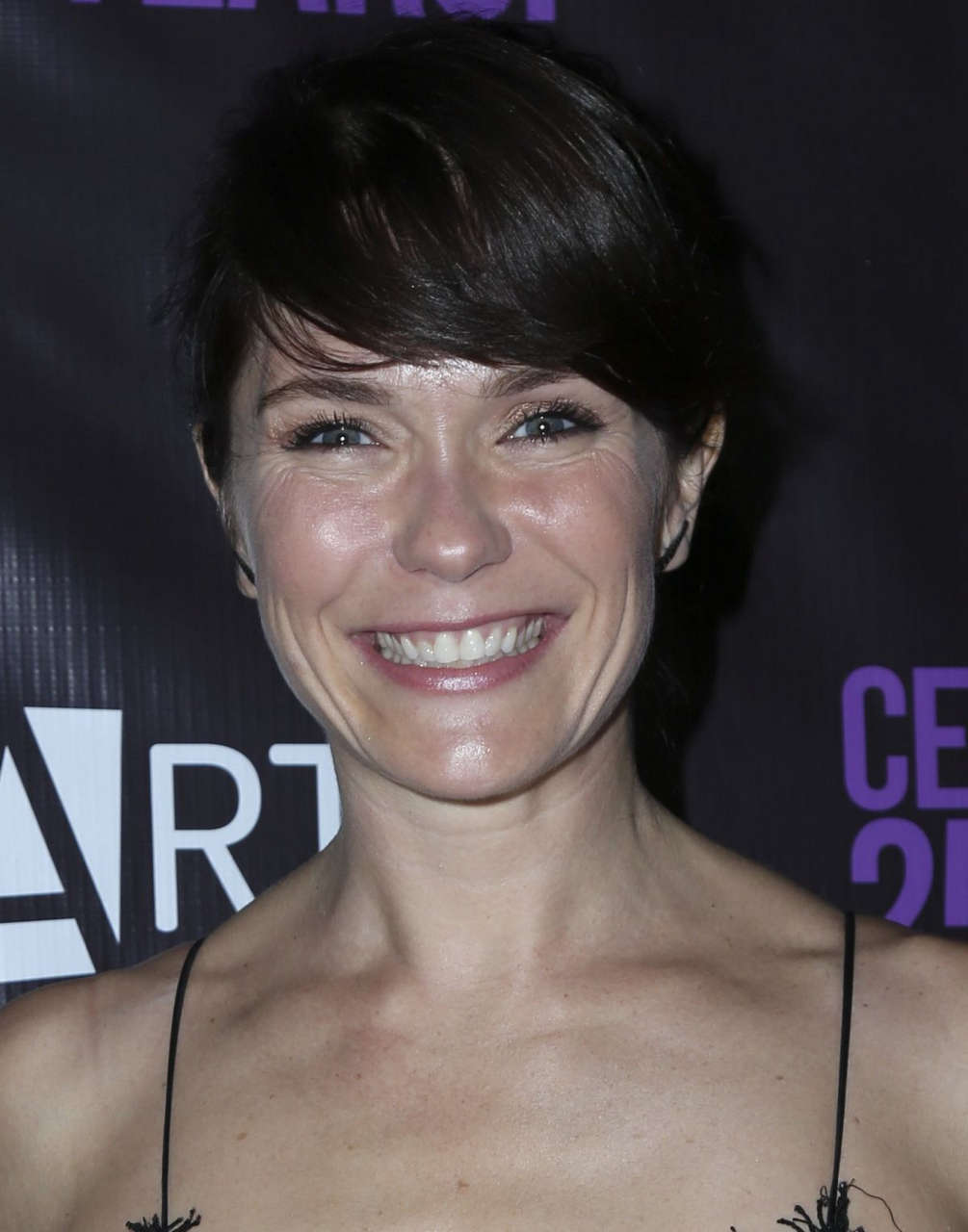Katie Aselton Party Celebrating 25 Years Of P S Arts Los Angeles