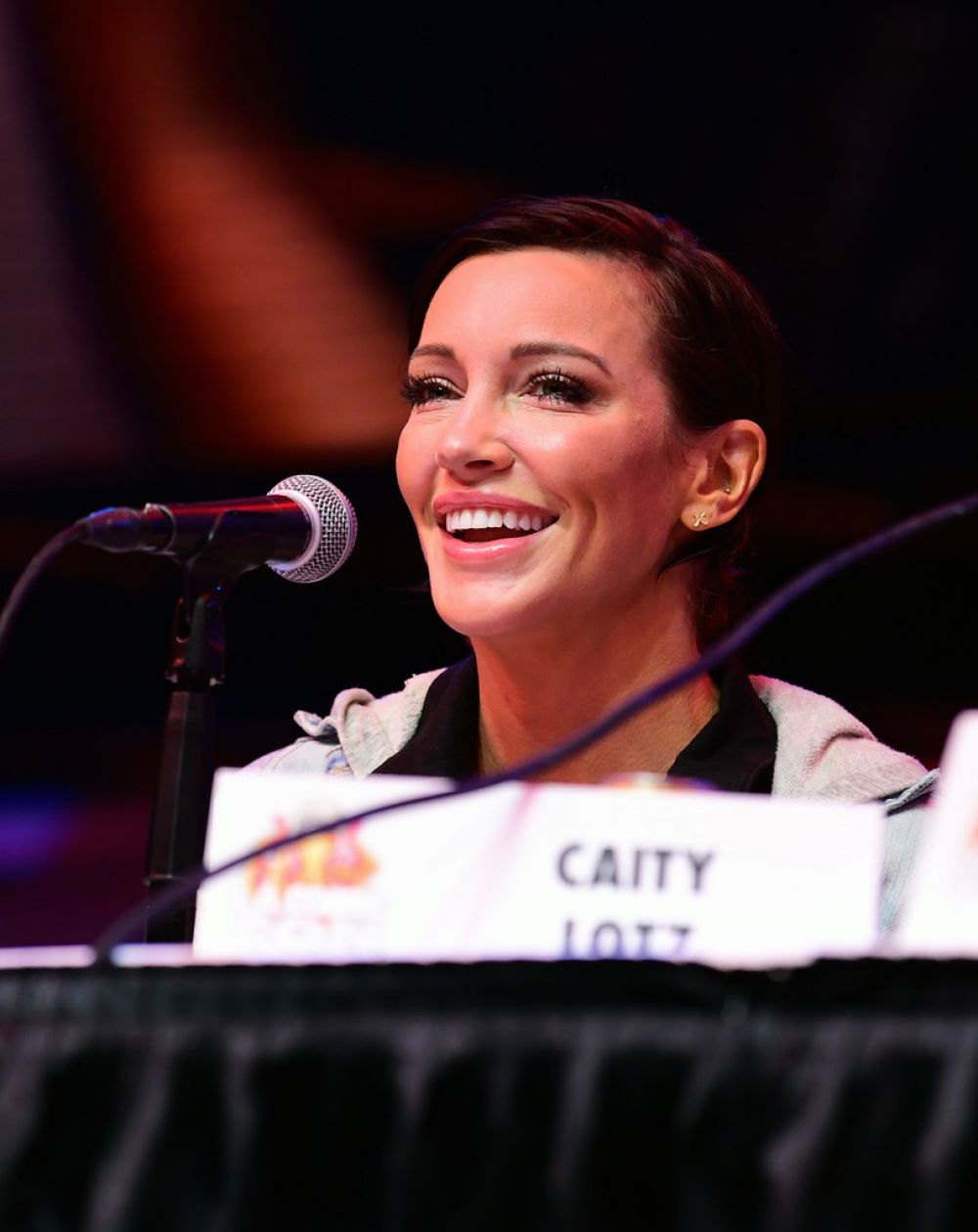 Katie Cassidy Caity Lotz Katrina Law Candice Patton Arrow Panel Los Angeles Comic Con