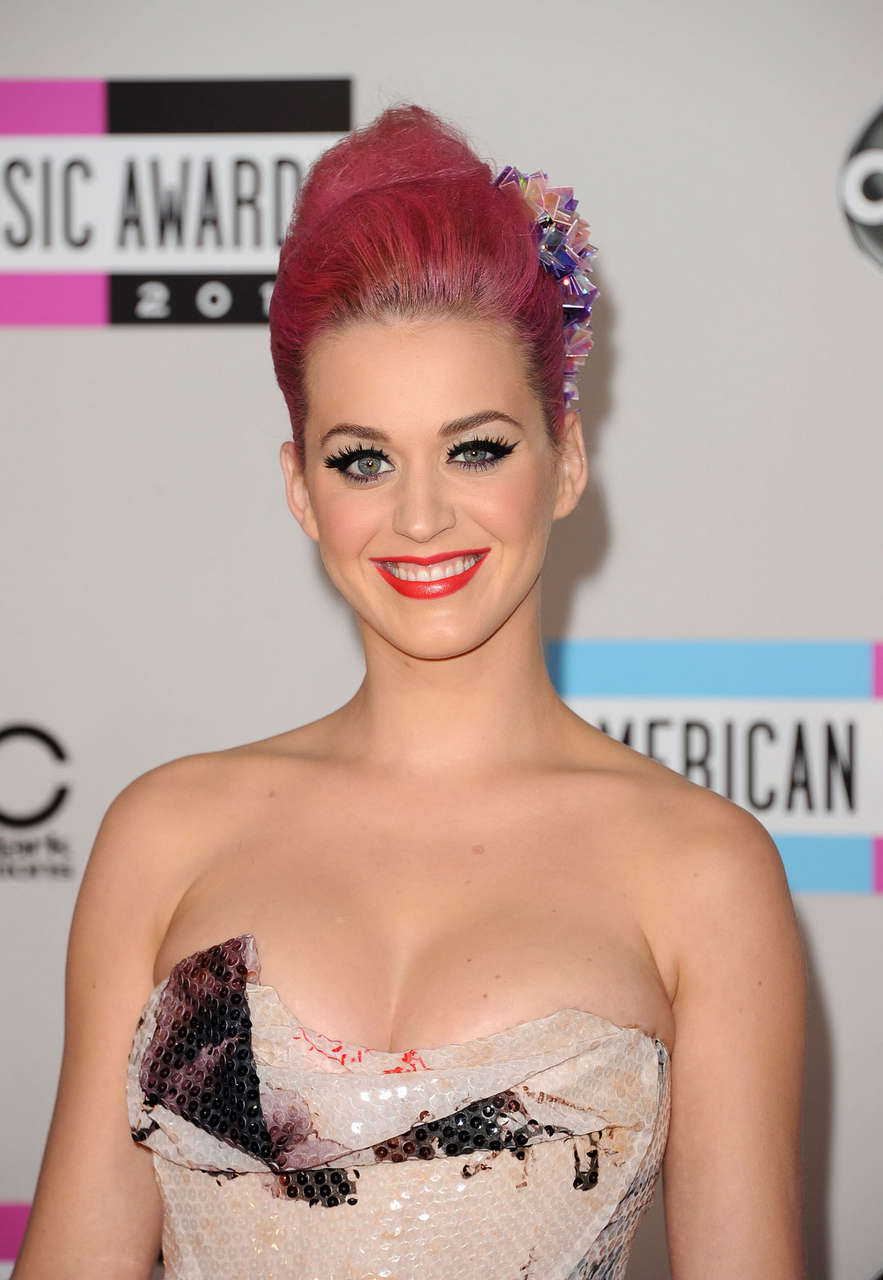 Katy Perry 39th Annual American Music Awards Los Angeles