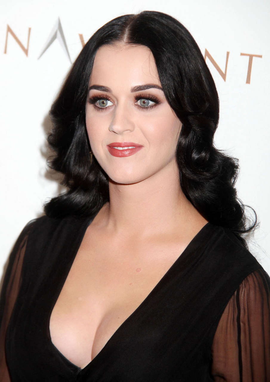 Katy Perry Night Too Many Stars Autism Event New York