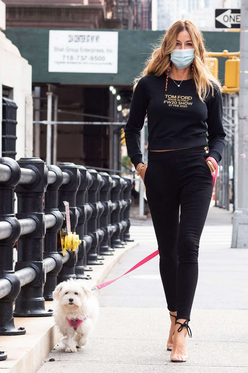 Kelly Bensimon Out With Her Dog Fluffy New York