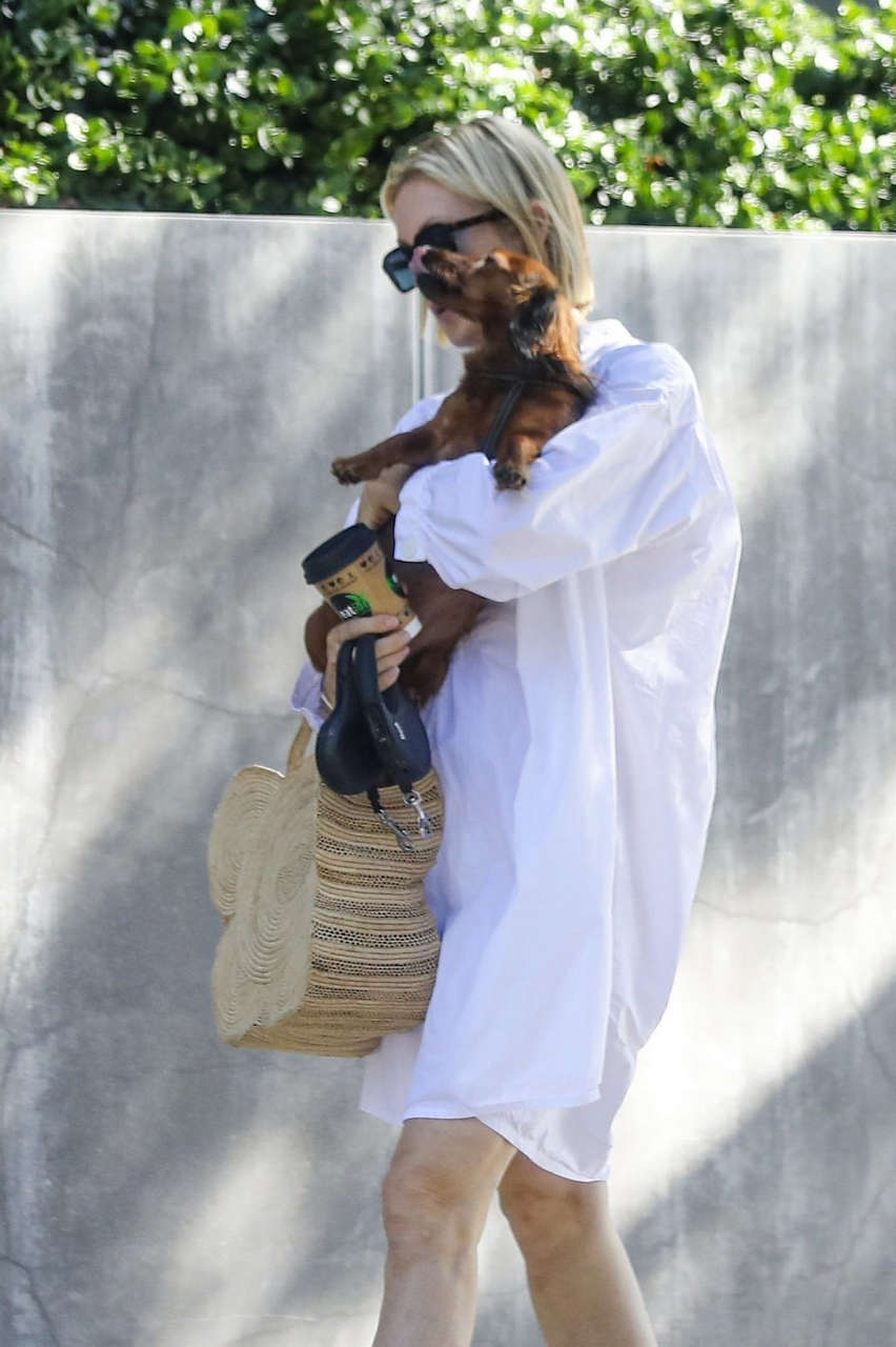 Kelly Rutherford Out With Her Dog Beverly Hills