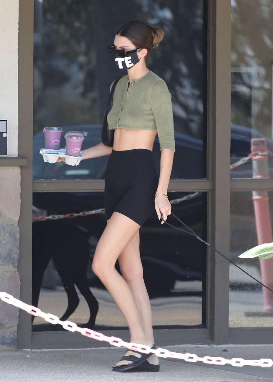 Kendall Jenner Tights Out With Her Dog Malibu